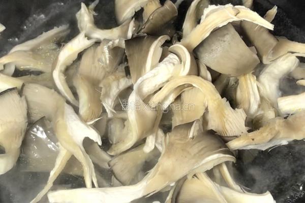 平菇炒鸡蛋的做法图解4