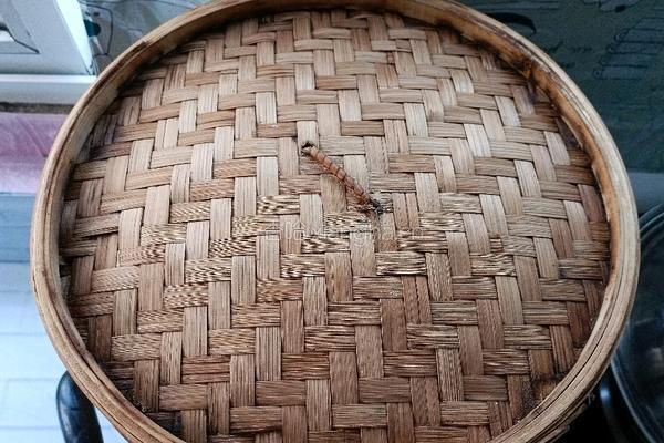 猪肉豆角馅包子的做法图解27