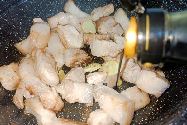 鹿茸菇烧腩肉的做法图解7
