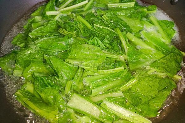 肉末芥菜的做法图解4