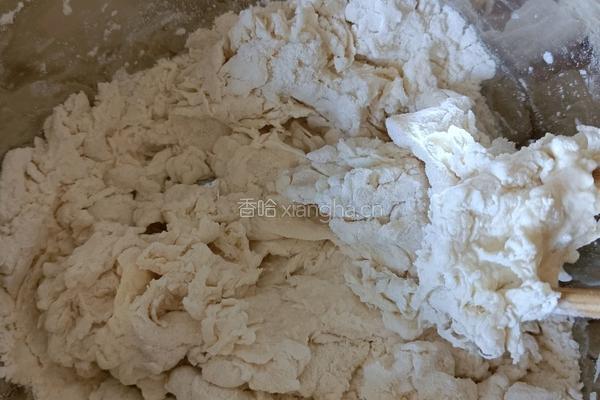 萝卜粉素馅包子的做法图解3