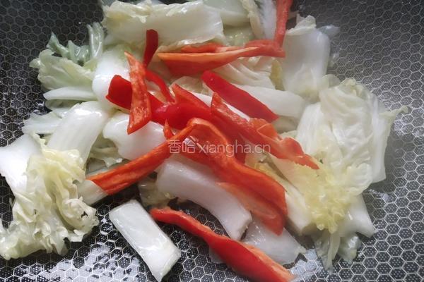 芽白肚条的做法图解6