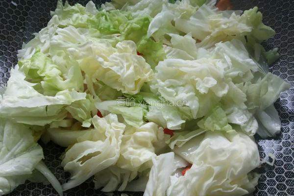 芽白肚条的做法图解7