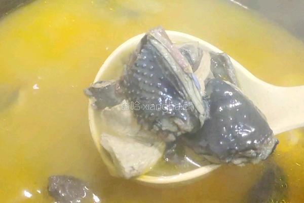 金花胶乌鸡汤的做法图解7
