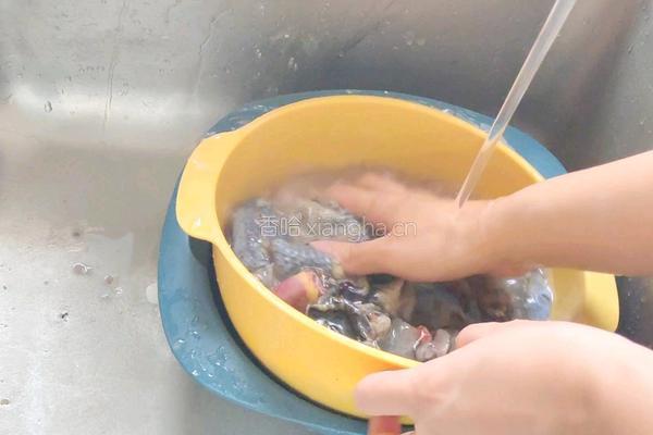 金花胶乌鸡汤的做法图解2
