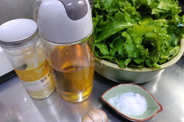 清炒苔菜叶的做法图解1
