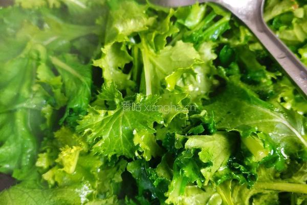 清炒苔菜叶的做法图解6