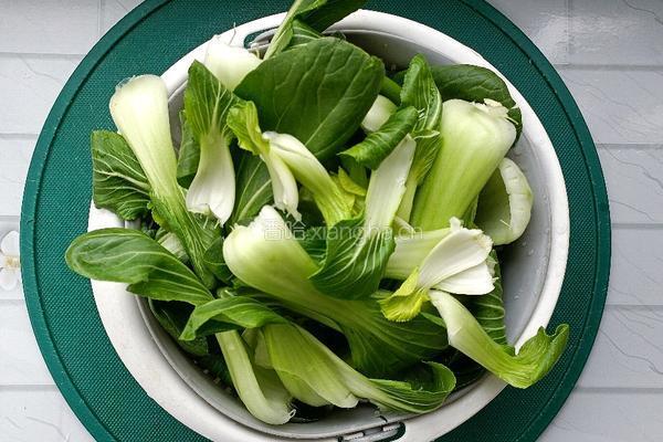 蚝油油菜的做法图解2