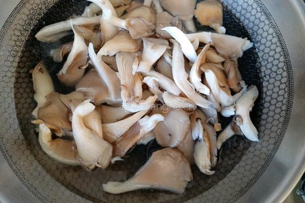 家常蘑菇炒肉的做法图解3
