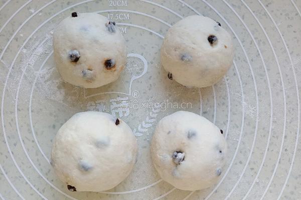 蔓越莓菠萝包的做法图解8