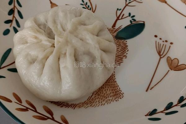 萝卜粉素馅包子的做法图解22