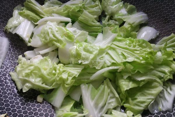 蒜蓉芽白的做法图解4
