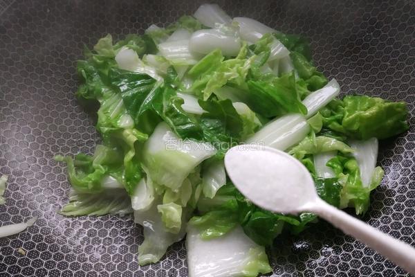 蒜蓉芽白的做法图解6