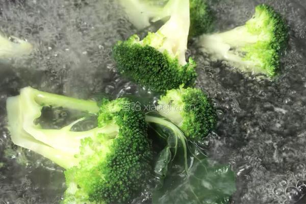 西兰花蛋饼卷的做法图解3