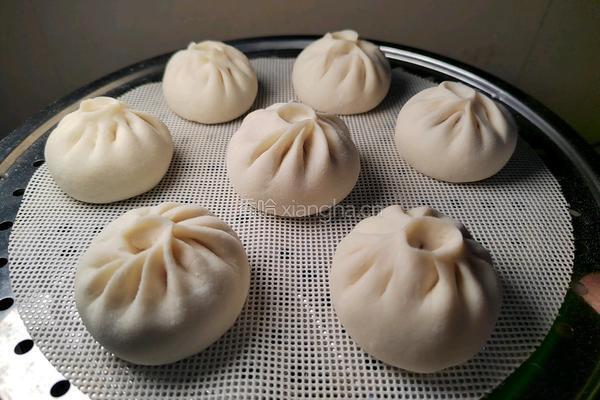 香菇酱肉小笼包的做法图解20