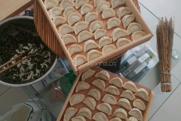 韭菜肉虾仁水饺的做法图解6
