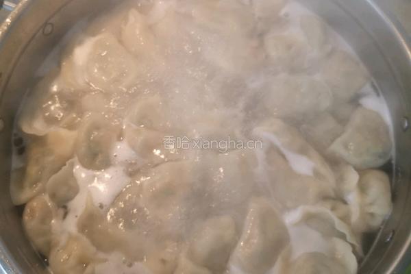 韭菜肉虾仁水饺的做法图解7