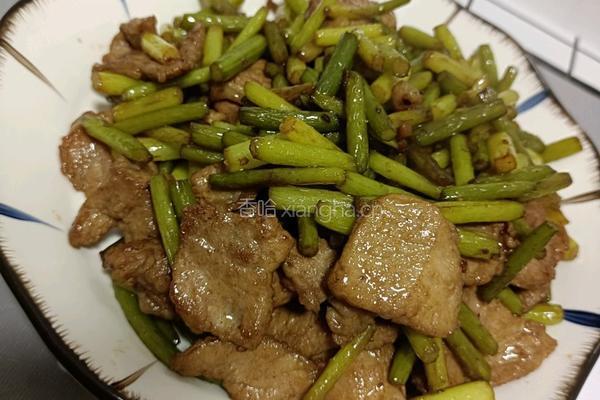 蒜苔炒肉的做法图解14