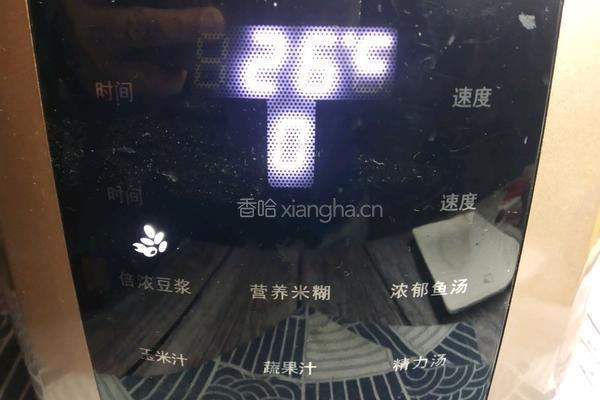 养胃米糊的做法图解4