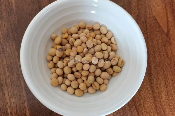 黄豆苦瓜排骨汤的做法图解1