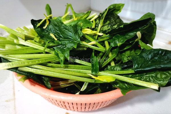 清炒菠菜的做法图解2