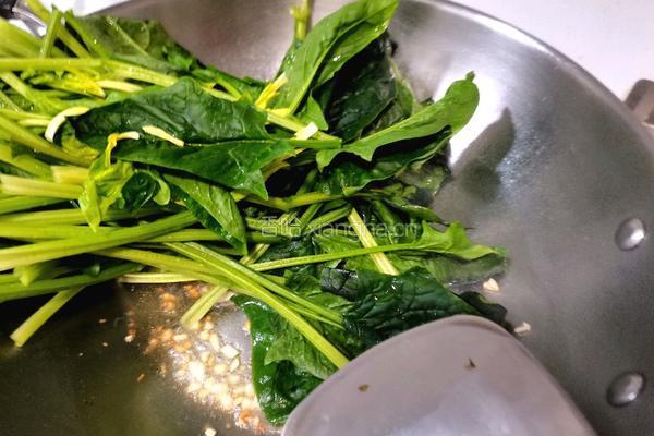 清炒菠菜的做法图解4
