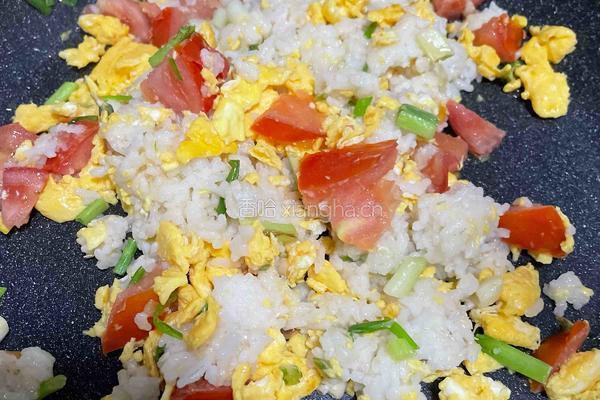 番茄鸡蛋炒饭的做法图解10