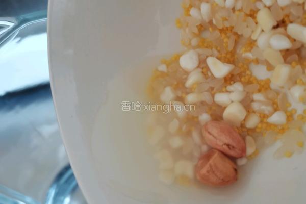 营养米糊的做法图解3