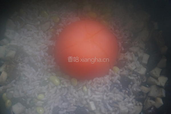  番茄杂粮菌菇焖饭的做法图解7