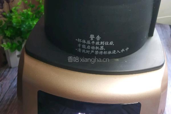 美容养颜米糊的做法图解6