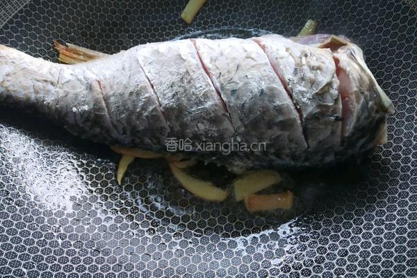 红烧鱼的做法图解8