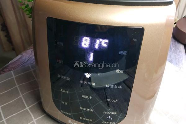营养米糊的做法图解5