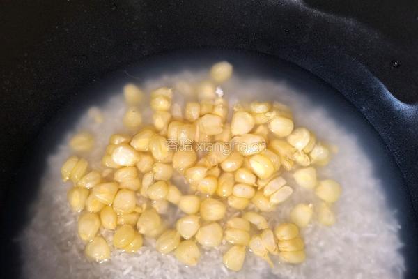 粘玉米饭的做法图解5