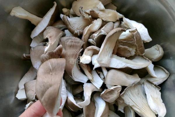酥炸平菇的做法图解1
