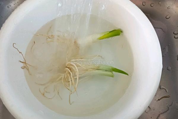 葱白姜糖水的做法图解3