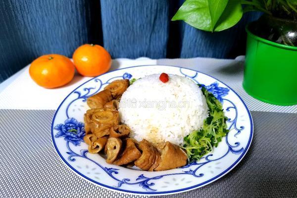 卤水大肠饭