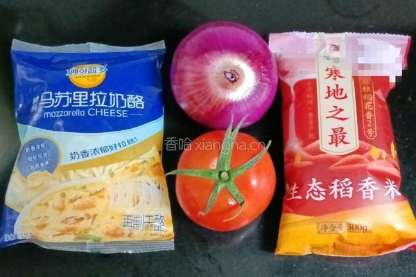 番茄芝士焗饭的做法图解1