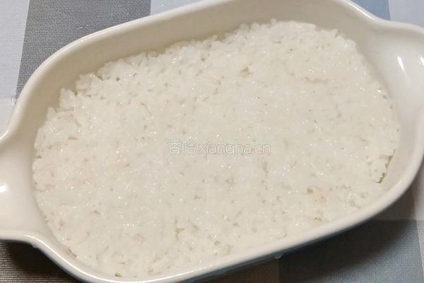 番茄芝士焗饭的做法图解9