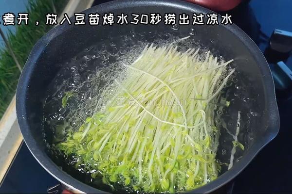巧拌豆苗的做法图解1