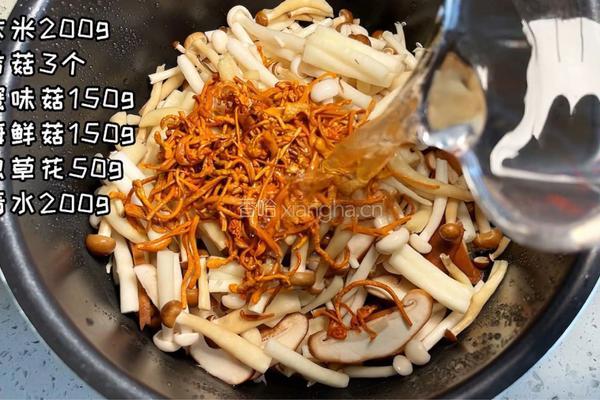 鲜辣杂菇焖饭的做法图解1