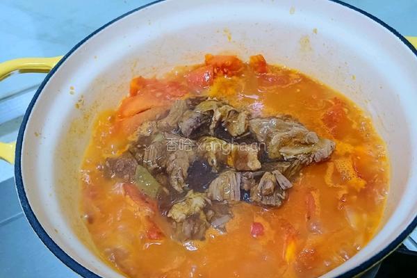 番茄牛肉芝士焗饭的做法图解4