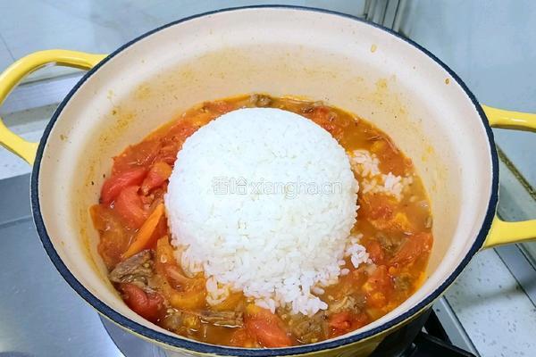番茄牛肉芝士焗饭的做法图解5