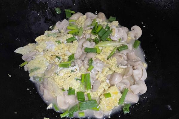 口蘑鸡蛋盖饭的做法图解9