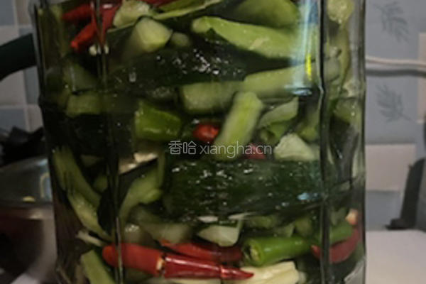 腌脆黄瓜的做法图解9