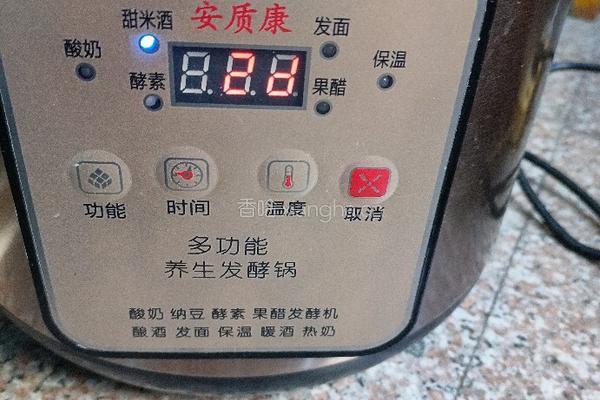 自制甜酒酿的做法图解16