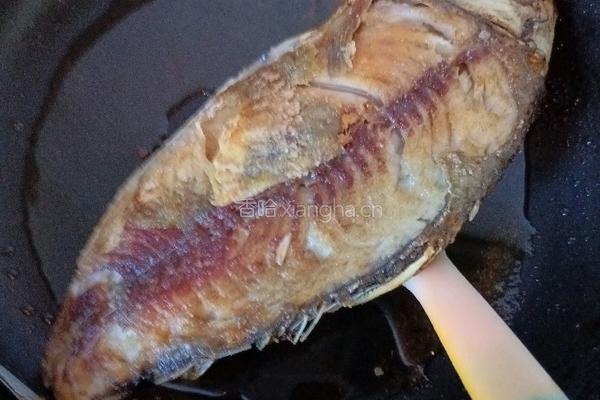 砂锅鲫鱼蘑菇豆腐汤的做法图解4