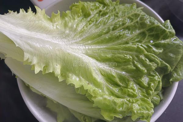 蚝油生菜的做法图解3