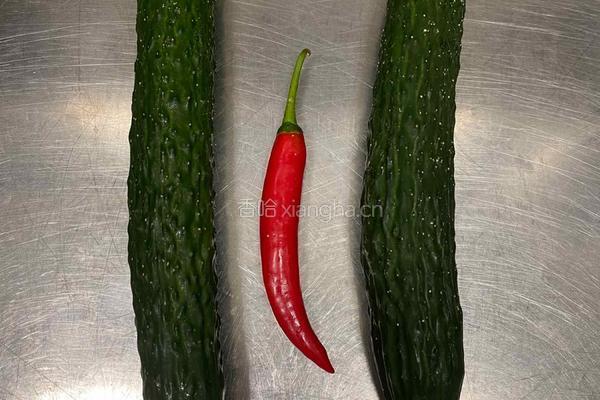教科书级别腌黄瓜的做法图解1