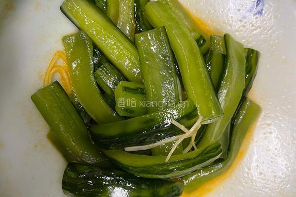 教科书级别腌黄瓜的做法图解9