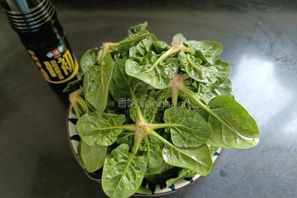 凉拌菠菜的做法图解1